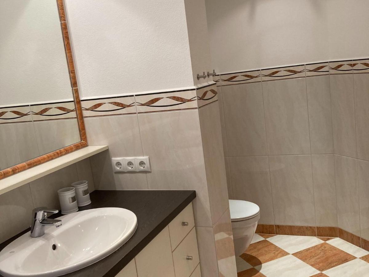 Holiday Apartment In Pinzgau With A Large Terrace Mittersill Εξωτερικό φωτογραφία