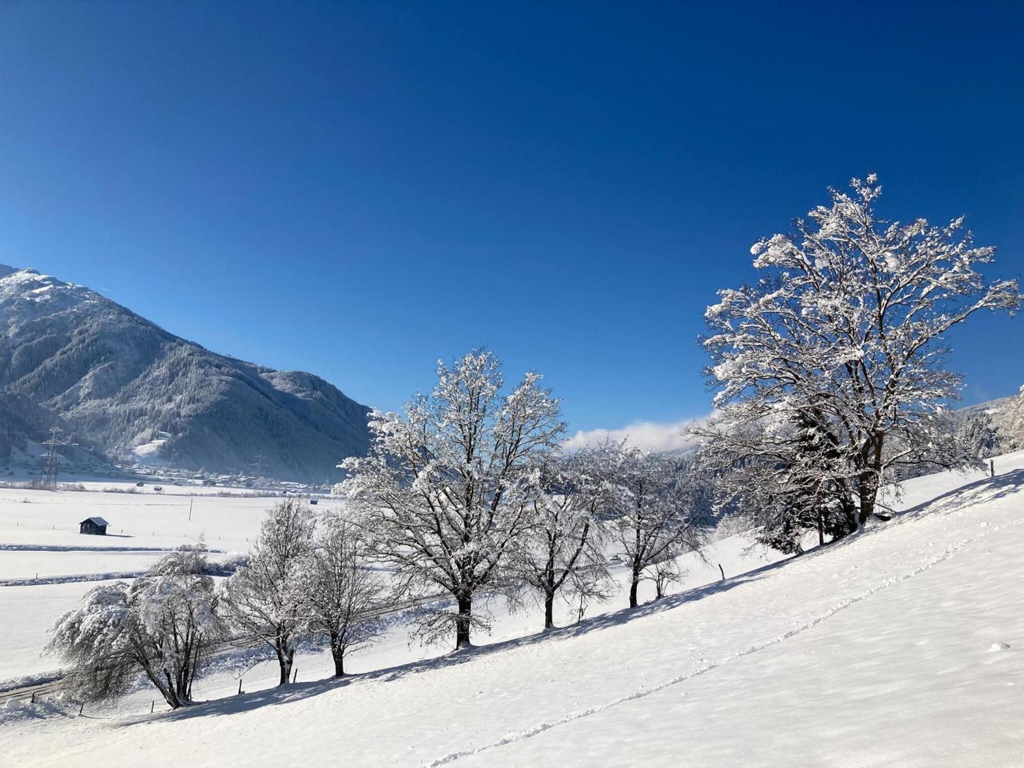 Holiday Apartment In Pinzgau With A Large Terrace Mittersill Εξωτερικό φωτογραφία