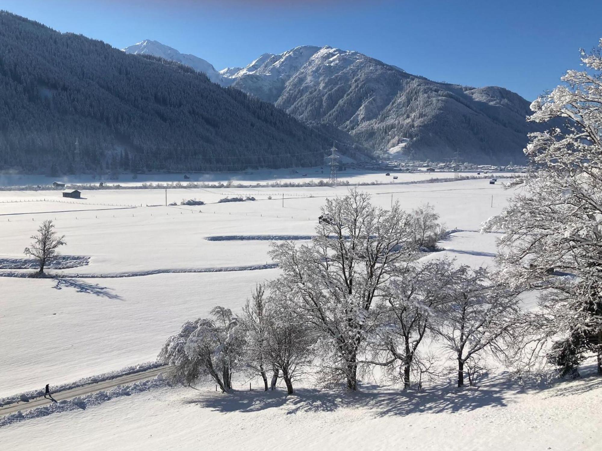 Holiday Apartment In Pinzgau With A Large Terrace Mittersill Εξωτερικό φωτογραφία